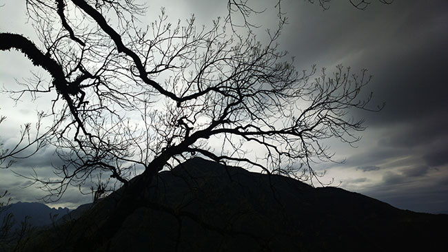 晴朗的天空